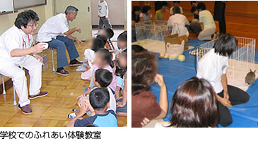学校でのふれあい体験教室